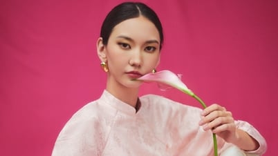 5 indispensable Ao Dai colors for Tet 2025