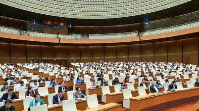 National Assembly deputies worry about personal information being stolen and forests being cut down