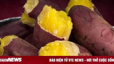 Die „Tabus“ beim Verzehr von Süßkartoffeln, die nicht jeder kennt