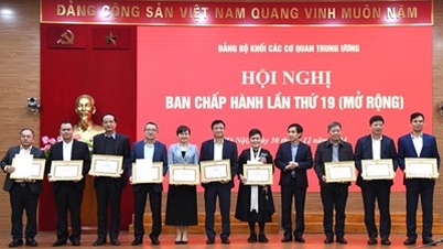 Đảng ủy Khối các cơ quan Trung ương tổng kết công tác năm 2024, triển khai nhiệm vụ năm 2025