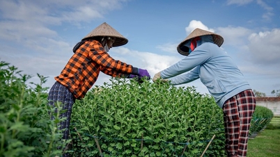 Hỗ trợ 25.000 nữ doanh nhân phát triển doanh nghiệp