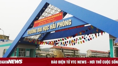 ការព្រមានអំពីវិន័យសម្រាប់នាយកសាលានៃសាកលវិទ្យាល័យ Hai Phong