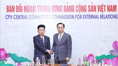 Promoción de la cooperación entre el Partido Comunista de Vietnam y el Partido de los Trabajadores de Corea