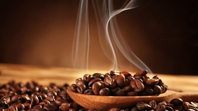 តម្លៃកាហ្វេ Robusta បន្តកើនឡើង ក្នុងស្រុករហូតដល់ 67,000 ដុង/គីឡូក្រាម តើតម្លៃនឹងបន្តកើនឡើងដែរឬទេ?