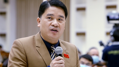 Vice Chairman of Quang Nam Province Tran Van Tan was dismissed.