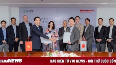 Vines និង Marubeni សហការគ្នាដើម្បីលើកកម្ពស់ការប្រើប្រាស់ប្រព័ន្ធថាមពលថ្មផ្ទុកថាមពល