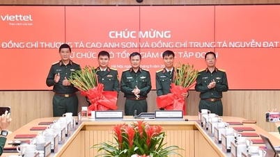 Bổ nhiệm 2 Phó Tổng giám đốc Tập đoàn Công nghiệp - Viễn thông Quân đội (Viettel)