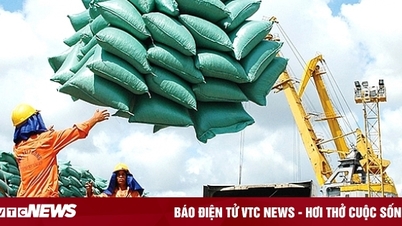 Infographic: Vietnamese rice faces 'golden' export opportunity