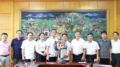 Supe Lam Thao ត្រូវបានតែងតាំងជាអគ្គនាយករងថ្មី។