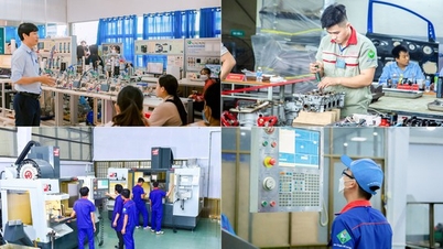Trường ĐH Sư phạm KT Vĩnh Long có 4 chương trình đào tạo theo chuẩn châu Âu