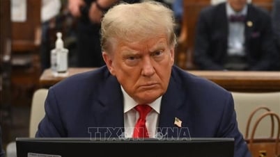 ខុទ្ទកាល័យរបស់លោក Trump ស្ទើរតែនឹងត្រូវបានតែងតាំងដោយគ្មានការយល់ព្រមពីសមាជិកព្រឹទ្ធសភាទាំង ៩ រូបនេះ។