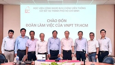 VNPT TP.HCM và Học viện CN.BCVT chuẩn bị tuyển sinh khóa đầu tiên đào tạo nhân lực CNTT theo hướng ứng dụng