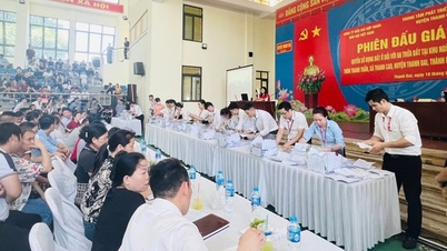 57 parcelles de terrain à Thanh Oai continueront d'être mises aux enchères en septembre 2024.