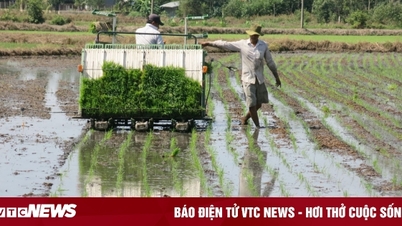 សហករណ៍កសិកម្ម Tay Ninh៖ កម្លាំងជំរុញការអភិវឌ្ឍន៍កសិកម្ម និងជនបទប្រកបដោយនិរន្តរភាព