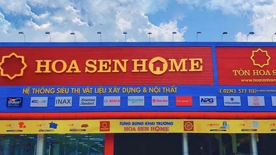 Stock price tripled, Hoa Sen Chairman's family divested all capital
