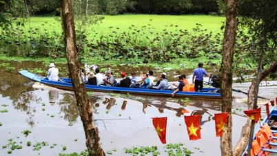 ព្រៃ Tra Su cajuput ក្នុងរដូវបុណ្យបក្សីទឹក។