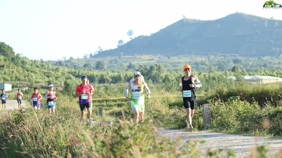 6,800명 이상의 선수들이 야생 해바라기의 노란색을 입고 달립니다.