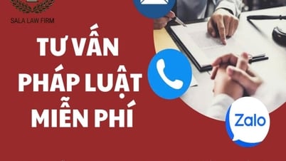 ក្រុមហ៊ុនមេធាវី SALA៖ ប្រឹក្សាផ្នែកច្បាប់ដោយឥតគិតថ្លៃ អមជាមួយជនពិការ