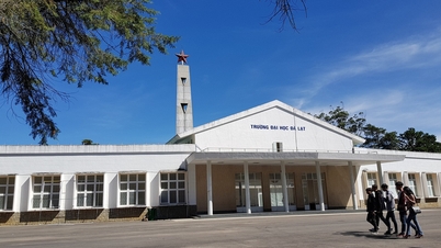សាកលវិទ្យាល័យ Dalat នឹងមានសាលាសមាជិកយ៉ាងហោចណាស់ 5 នៅឆ្នាំ 2045 ។
