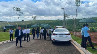 Đất nền một số khu vực có dấu hiệu "thổi giá"