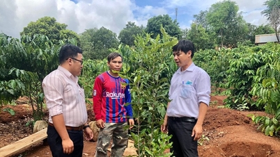 Thực hiện chính sách về đất ở, đất sản xuất cho đồng bào dân tộc