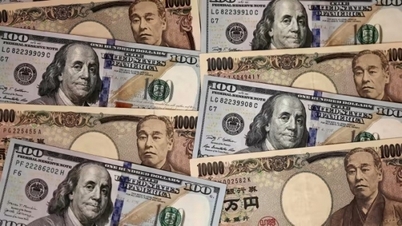 Курсы валют, курс USD/VND на сегодня 29 августа: USD «восстанавливается»