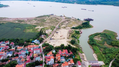 Chuyển hồ sơ công an điều tra 7,8ha bãi cát có dấu hiệu khai thác trộm