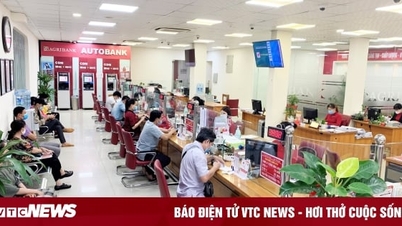 Agribank giảm tiếp 0,5% lãi suất cho vay