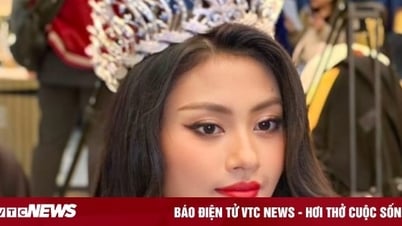 ទើបតែគ្រងមកុដ Miss Universe Vietnam Xuan Hanh ត្រូវតែសុំទោស