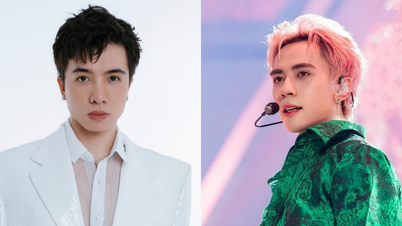 Xuan Dinh KY collapsed after copyright scandal with Quang Hung MasterD