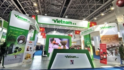 CAEXPO 2023៖ ចាប់យកឱកាស ពង្រីកកិច្ចសហប្រតិបត្តិការសេដ្ឋកិច្ចចិន-អាស៊ាន