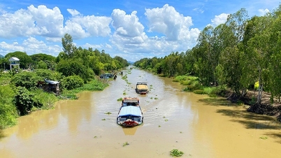 ប្រឡាយ Vinh Te ដែលជាប្រឡាយទឹកសិប្បនិម្មិតដ៏ធំបំផុតនៅតំបន់ដីសណ្ដទន្លេមេគង្គតភ្ជាប់ An Giang ជាមួយ Kien Giang មានអាយុ 200 ឆ្នាំ។