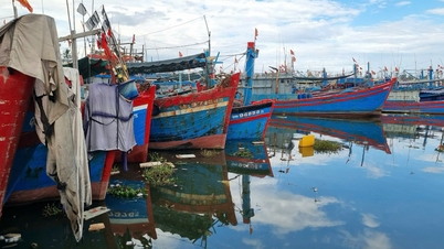 460 billion VND port project still struggling with site clearance