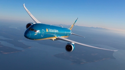 Vietnam Airlines hoãn họp đại hội cổ đông đến tháng 10