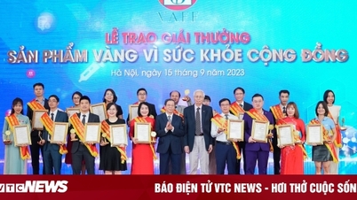 KOJA MART - Hành trình khẳng định uy tín thương hiệu