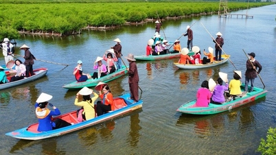 Nhiều sự kiện văn hóa, thể thao và du lịch sắp diễn ra tại Quảng Ngãi
