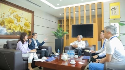 CMC President answers an interview with The Nikkei newspaper
