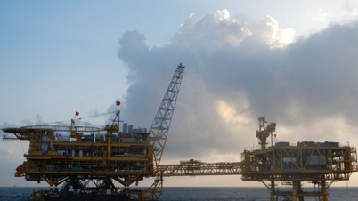 Oil prices regain momentum, domestic gasoline prices may decrease slightly