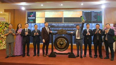 BCG Energy – doanh nghiệp thứ 29 chính thức giao dịch trên thị trường UPCoM năm 2024