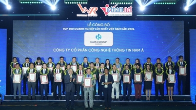 Nam A Group ក្នុងសហគ្រាសឯកជនធំជាងគេទាំង 500 នៅវៀតណាមឆ្នាំ 2024
