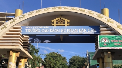 សាលាជ្រើសរើសលើសពីកូតា សិស្សជាច្រើនមិនមានសញ្ញាបត្រ។
