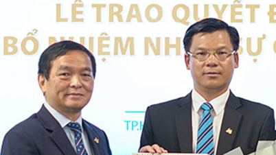 New boss of Hoa Binh Construction wants to buy 2 million shares