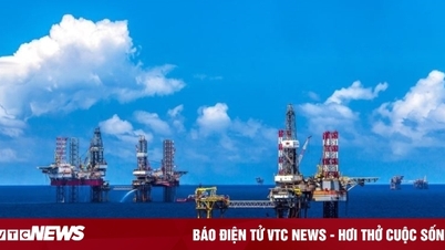 Tỉnh nào có trữ lượng dầu mỏ lớn nhất Việt Nam?