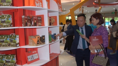 ¿Qué deben hacer las empresas vietnamitas?