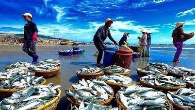 Nhật xả triệu tấn nước thải phóng xạ, cổ phiếu thủy sản Việt đồng loạt tăng mạnh