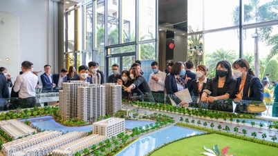 After 1 year, the State-managed real estate transaction center is still 'silent'