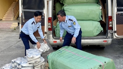 Seized 820 pairs of counterfeit brand shoes
