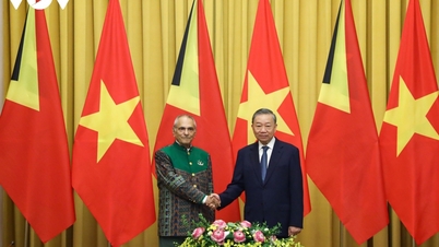 Timor-Leste sees Vietnam as a development model