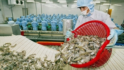 Xuất khẩu tôm tăng vượt chỉ tiêu nhờ các FTA