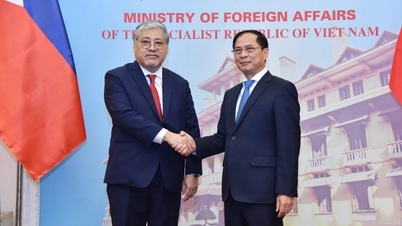 Vietnam and the Philippines promote maritime and ocean cooperation, coordinate to promptly handle issues arising at sea.
